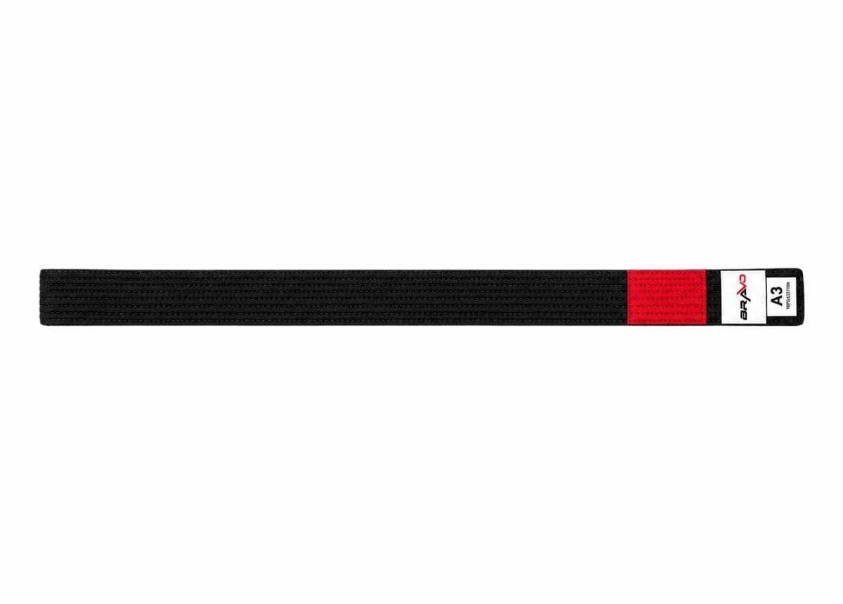 Black Belt Jiu Jitsu, image 3