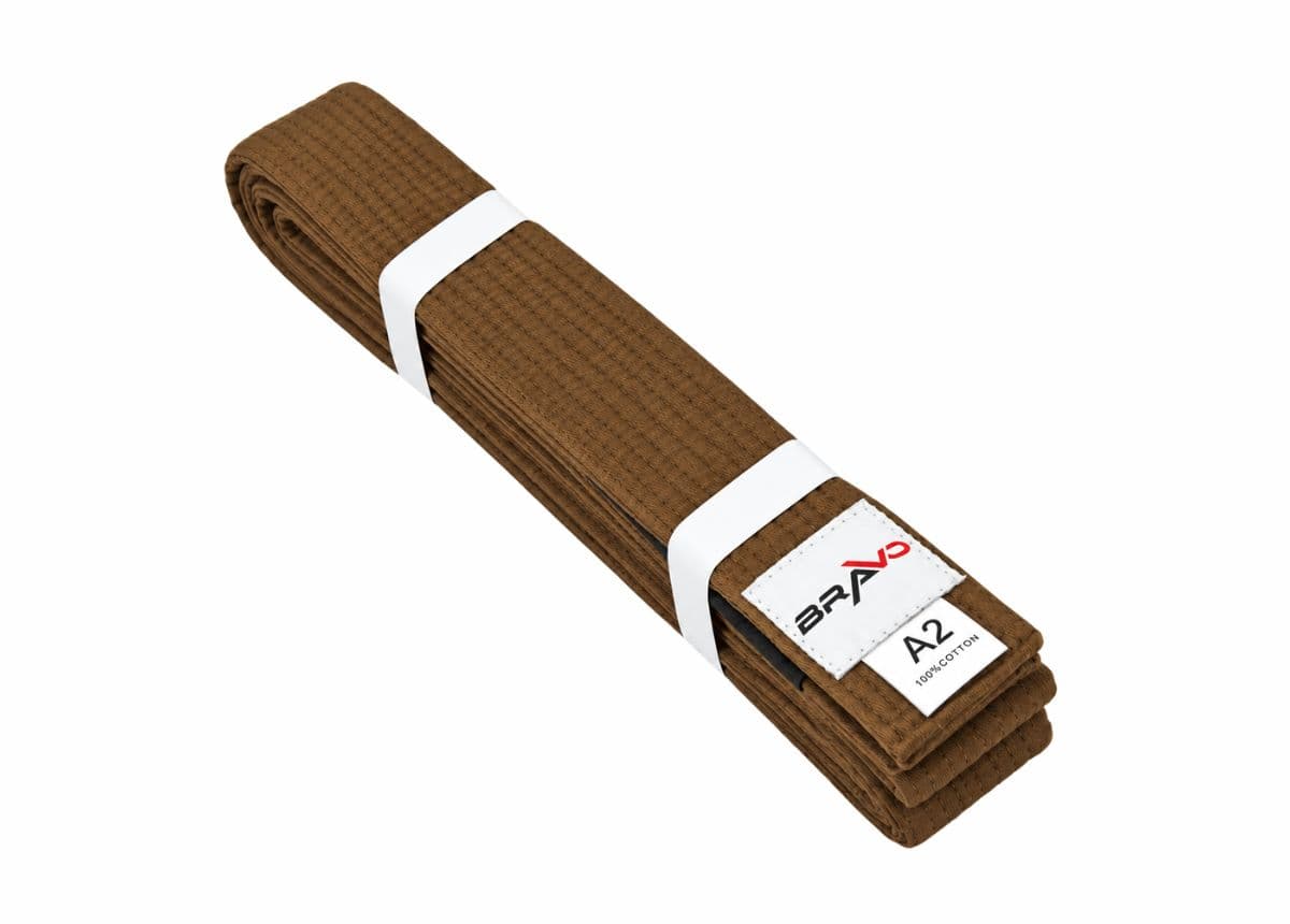 Brown Belt Jiu Jitsu
