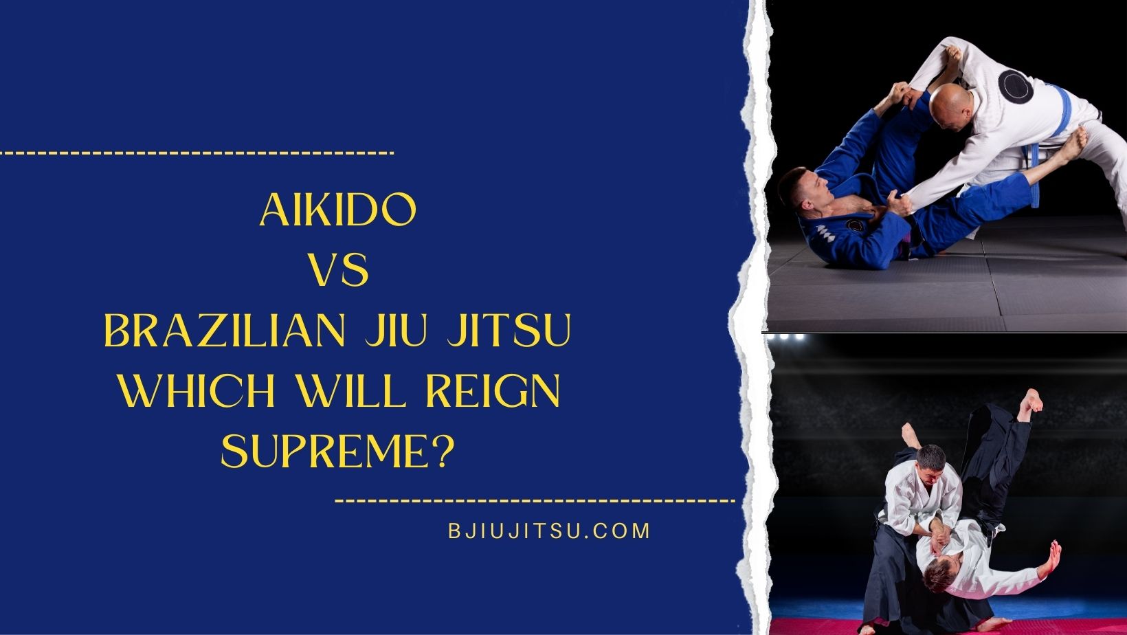 Aikido vs brazilian jiu jitsu