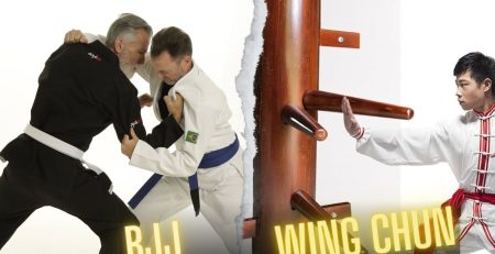 Wing Chun vs Brazilian jiu jitsu