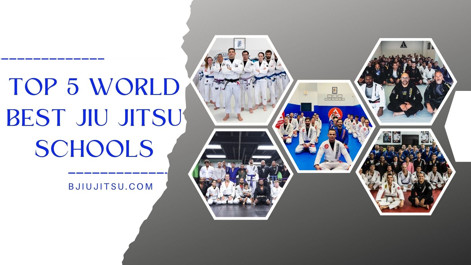 Top 5 brazilian jiu jitsu schools