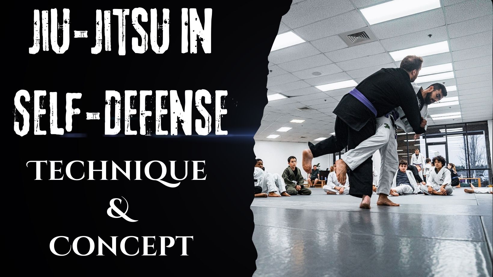 brazilian jiu jitsu self defense