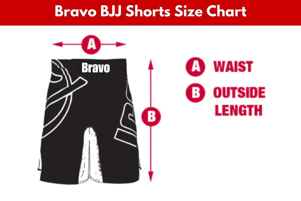 BJJ shorts size chart